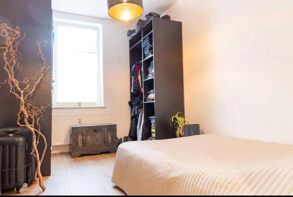 Design Apartment Im Zentrum Von Nienburg! Nienburg  Buitenkant foto